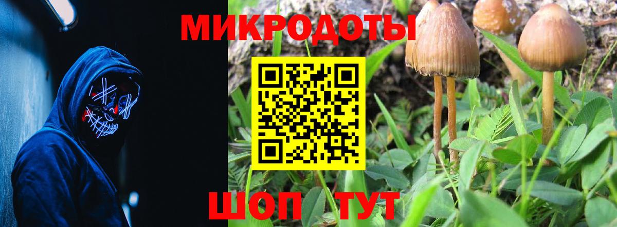 Псилоцибиновые грибы прущие грибы  Вход с VPN  Березники 